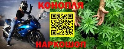 шишки Краснокаменск