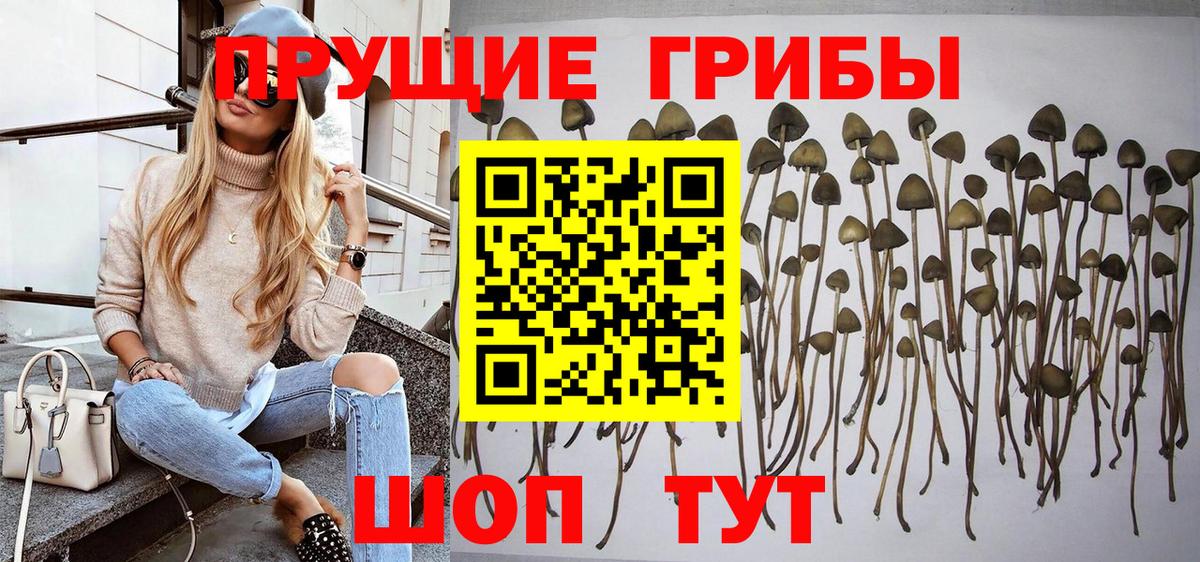Галлюциногенные грибы ЛСД Карпинск